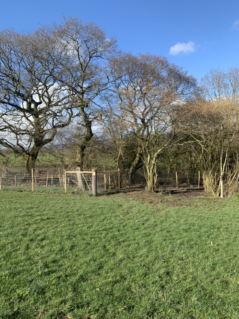 1420 013489c65b86867569327ede5020fb1e 1 768x1024