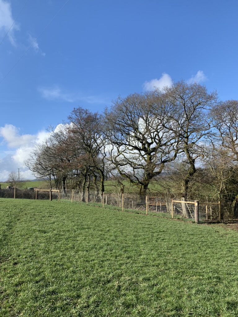 1420 2ea07ba2f634ce8853d392ac034dcc09 1 768x1024