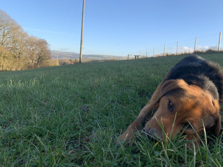 1420 4a80709db10158bf0868531afa90051a 1 768x576