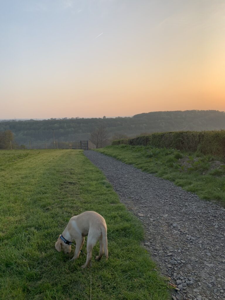 1420 74cddb0a23a618c9e5e99b88aea37f9f 1 768x1024