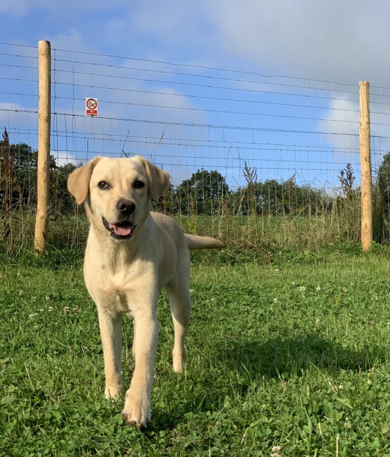 1420 7ca8859392df598cb3935ef22b38b006 1 768x899