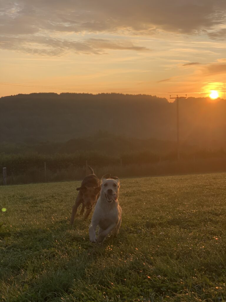 1420 7fcd3a6cb2b2545ba0c8b96875c2bd8e 1 768x1024