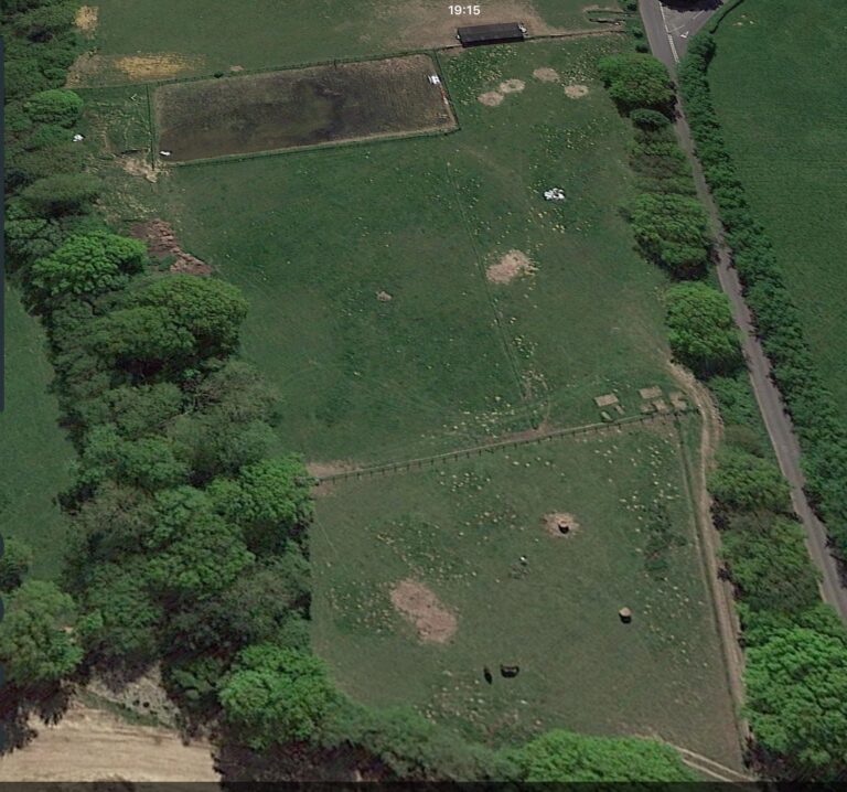 1422 d6c8730b551f6668c5930db93d4a1abb 768x718