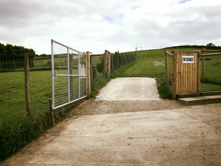 1424 1ca4dfda6a01e8e02593f6dbc593924b 1 768x576