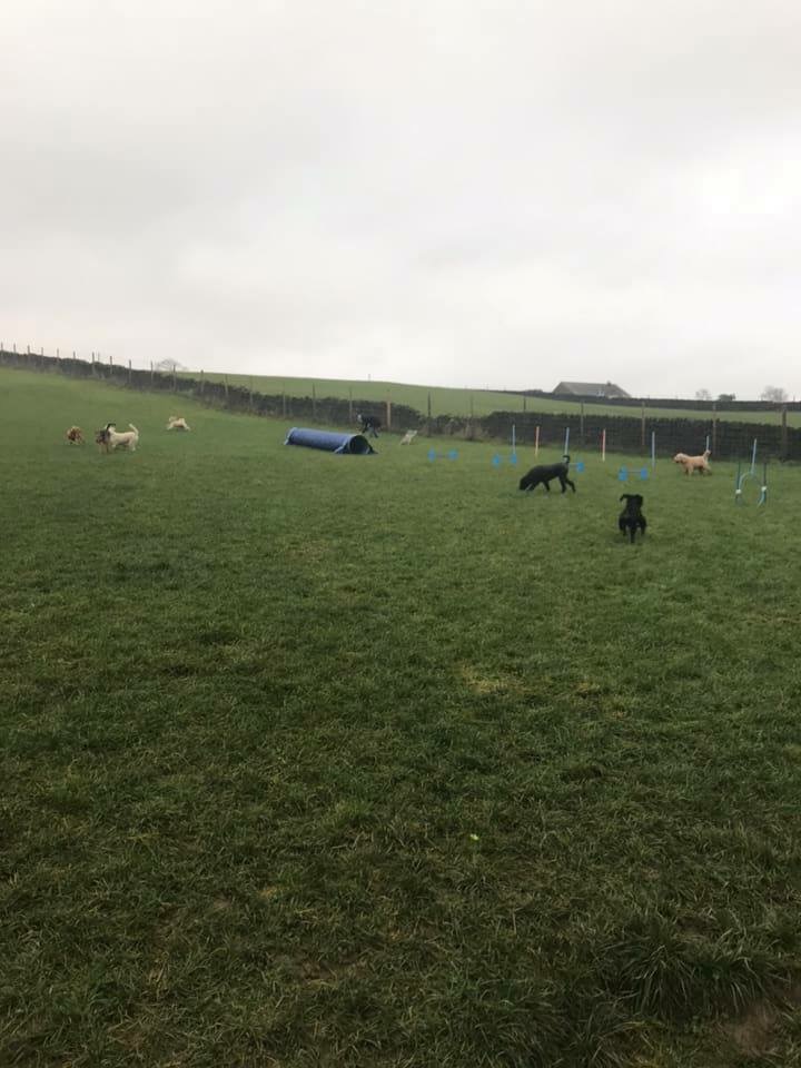 1424 22c787e716ed90205e0ec7e88cbd20a0 1