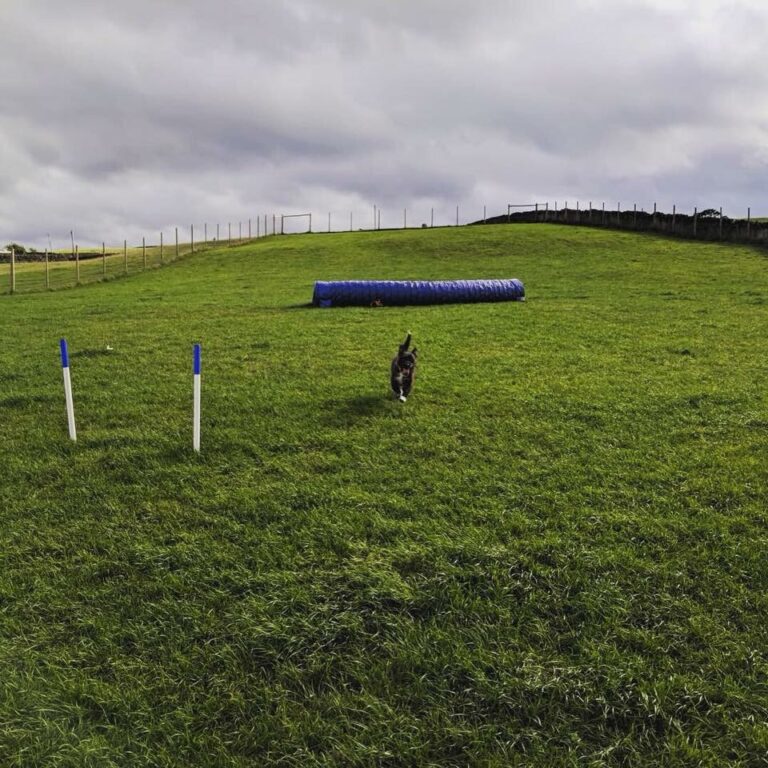 1424 a29e3e05e103e41a11cb57dd8560f4be 1 768x768