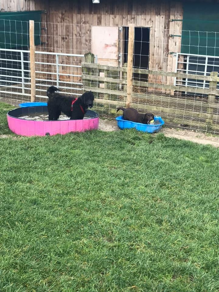 1424 a5dad3c3f301a34ab0f926c2bbd10a0f 1