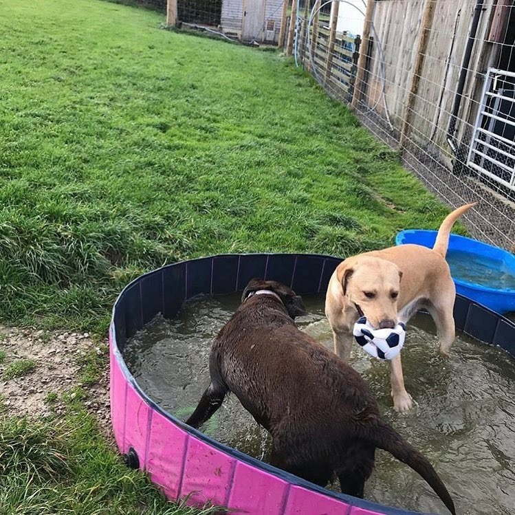 1424 c45f512d4e40d1631015251fb027cba3 1