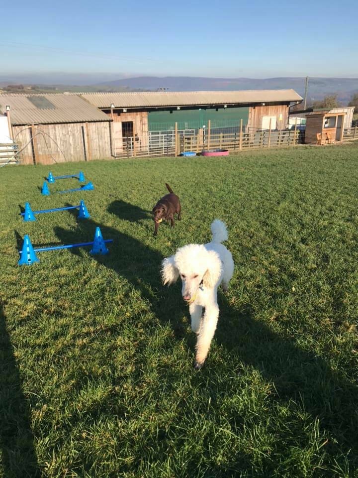 1424 cf199f8974cc64e475a11f1d0042595c 1