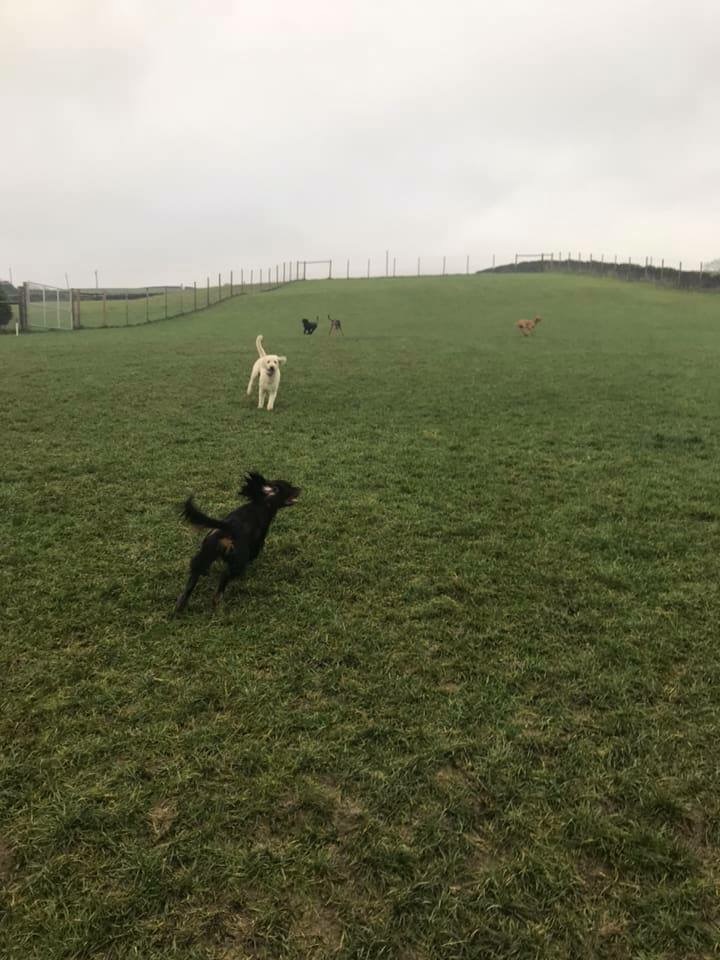 1424 e8f35d8d2cf039b413a030a75508acef 1