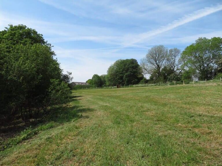 1426 00db394d1037c83c4a631ba42442c13c 1 768x576