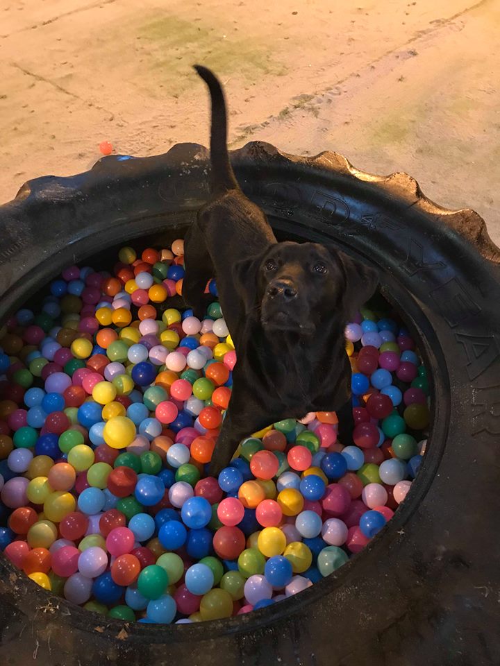 1426 0cf93b45d302c331564a516d6108a560 1