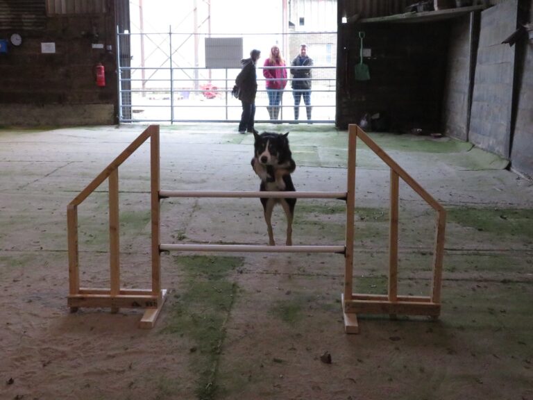 1426 65358e4e1128439d64317b2fa798cb8a 1 768x576