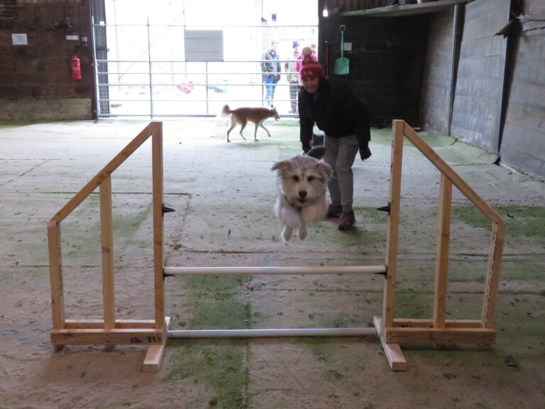 1426 cdfa4cf94311a5c16f7373b7ffbe48ee 1 768x576