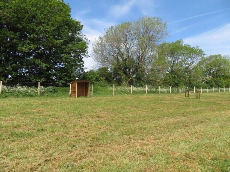 1426 d983524c12668484e20666cd11bf5af6 1 768x576