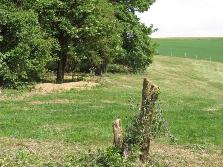 1426 eacce014317dc514717d6fef51b05274 1 768x576