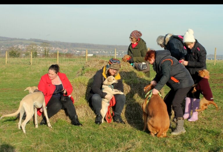 1427 4fdd8b061d88701482b601b6356cf0b3 1 768x524