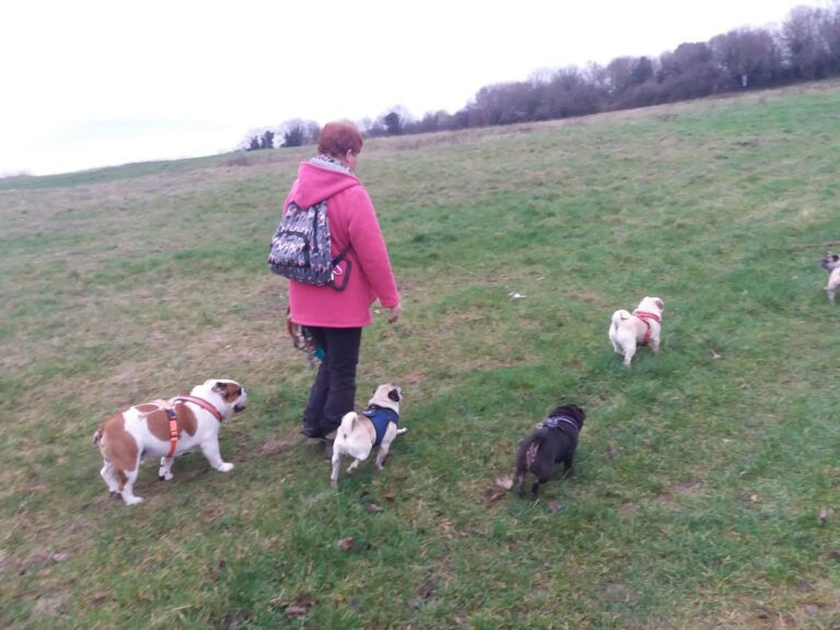 1427 60602257bd9de5469f8f47211a8f62e3 1 768x576