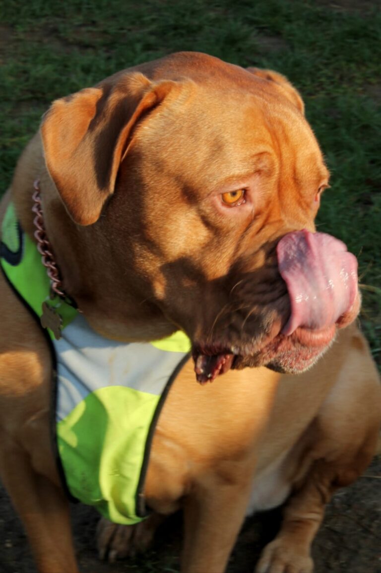 1427 7930169f3567b9a79c80b0f04906f7ea 1 768x1155