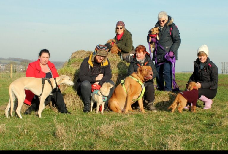 1427 c4c8560c8ad427cd9ddd8e876db55716 1 768x519