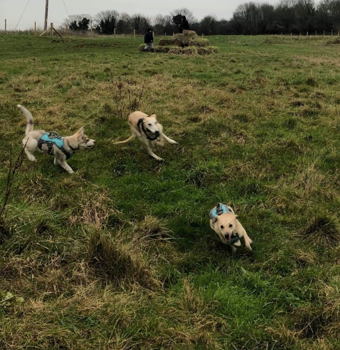 1427 f31f395a018608f99275026800fda6a8 1