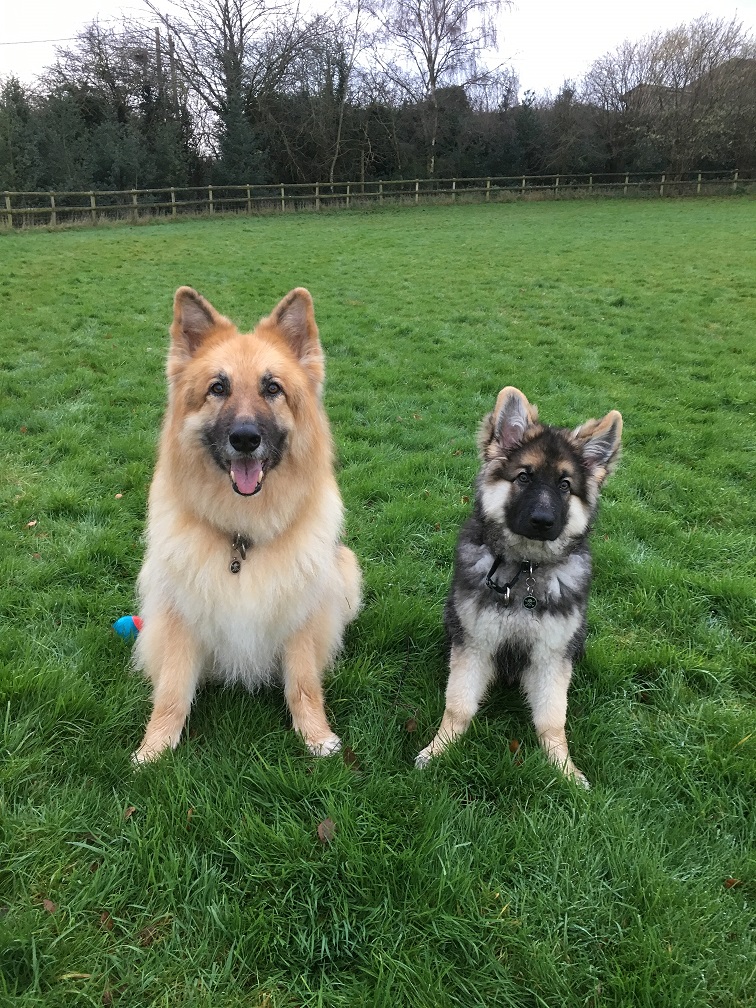 1428 50fc8457a255a081770e97595dec85f8 1