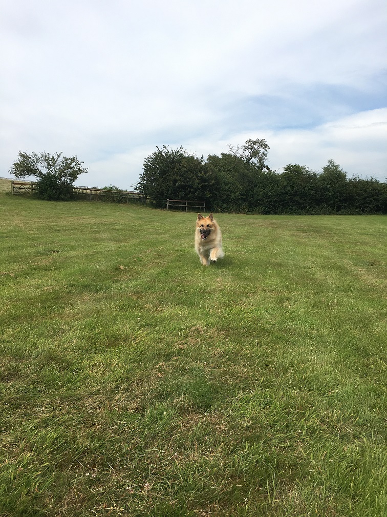 1428 90d4c854eb1c57c9da07ecc972249053 1