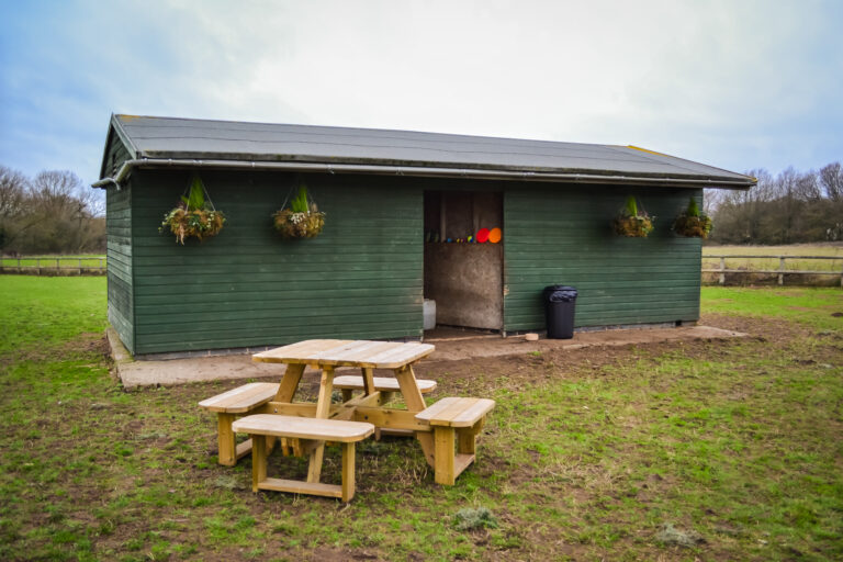 1429 8069556726a6fa5ea8847db521435107 1 768x512