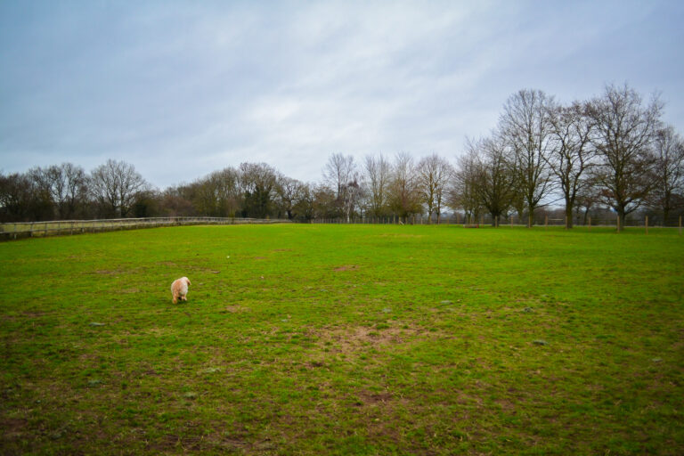 1429 a1467e171d852c5b05993c487575456c 1 768x512