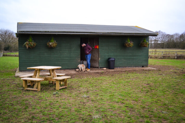 1429 e019e82ce9f7bbb356869a7d60fd0165 1 768x512