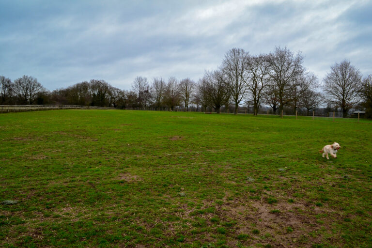 1429 fa28fdaf0a6b7410fa9c348be13812d5 1 768x512