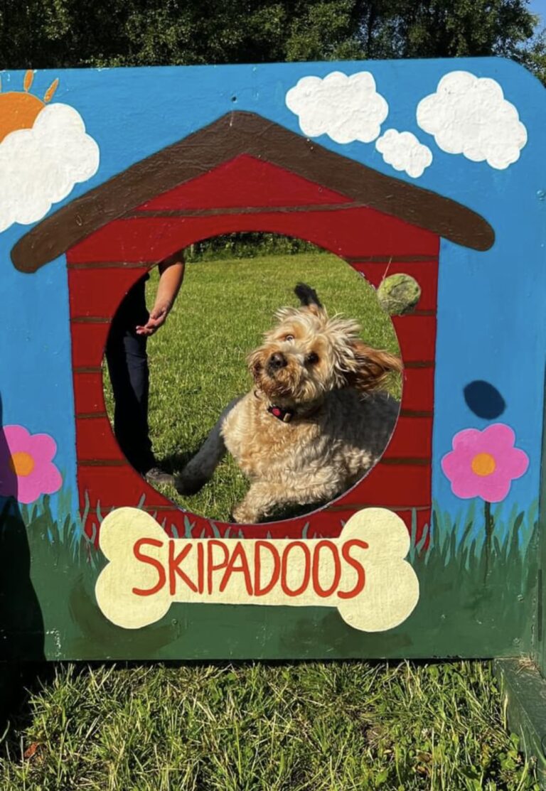 1433 06fe2ddcb0a910a29362c4bcb9153d34 1 768x1113