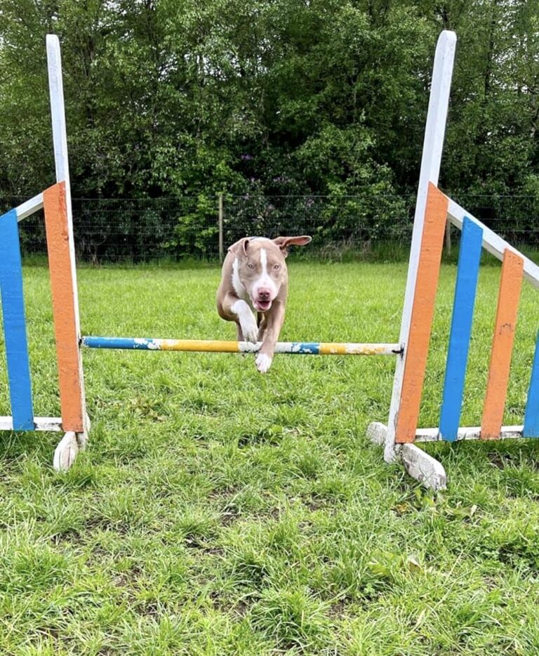 1433 167b496e6171fb4815fab65e7b457c3d 1 768x934