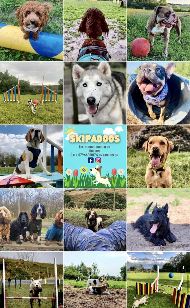 1433 53d224cefe4fb3c15b4ac20e915f1a3e 1 768x1247