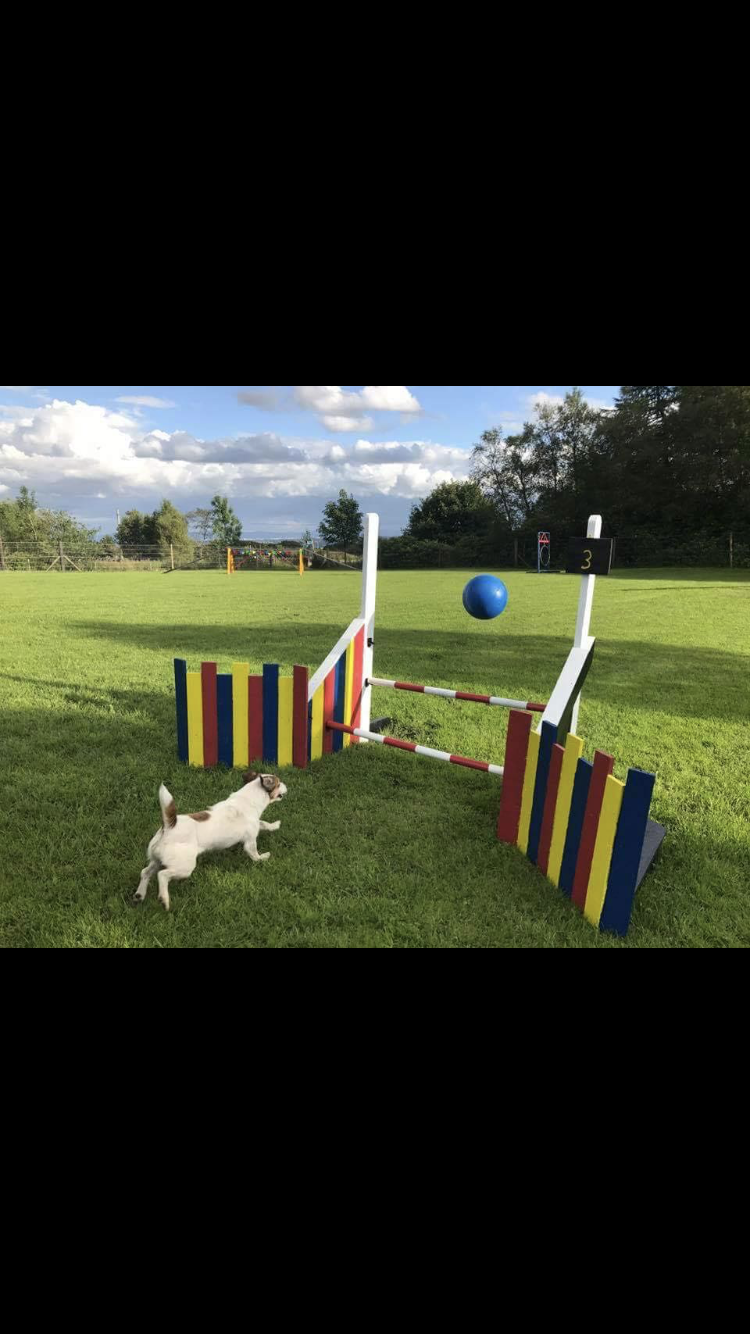 1433 b70f08fa0cc4e51f9a21e500efc7d241 1