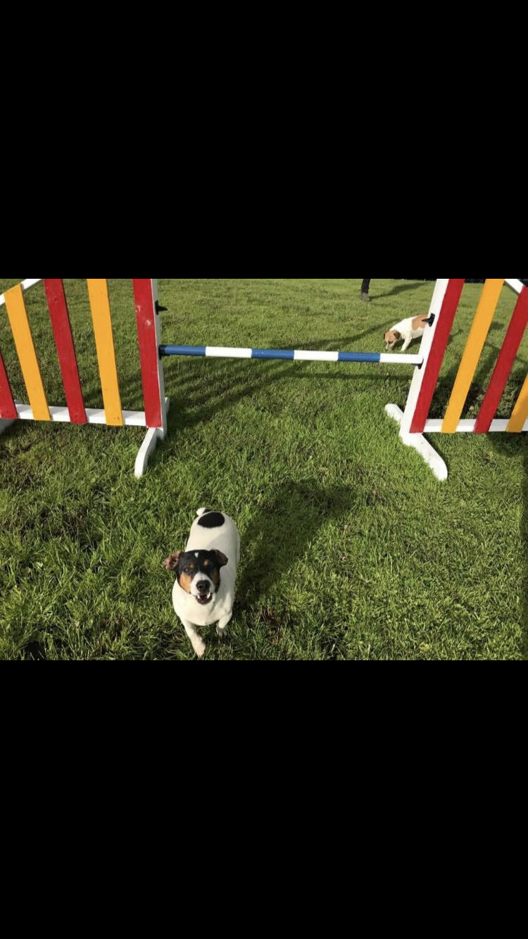 1433 c0860d341ec38039a23ccf3c4f76b1de 1