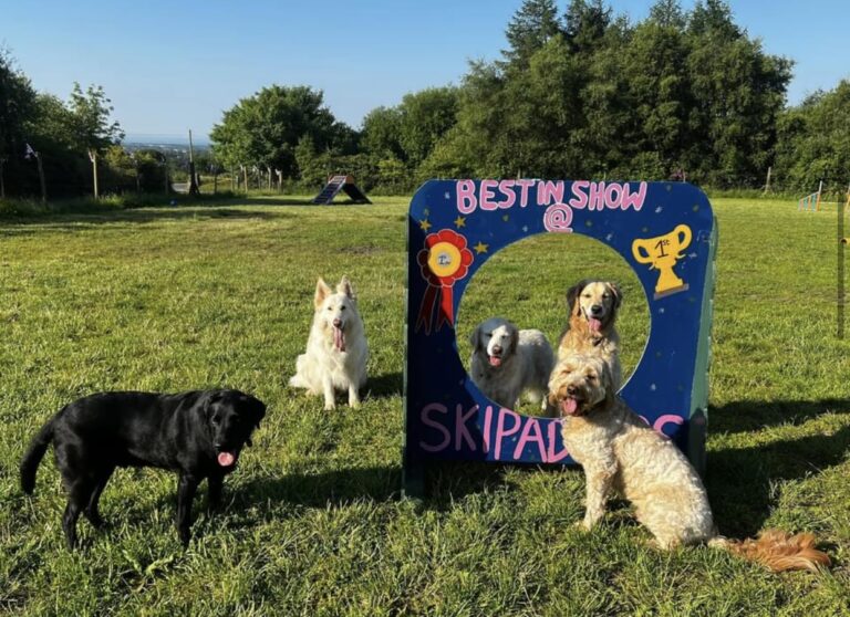 1433 ca0a06ca922afbe991d75010d5b3616d 1 768x558