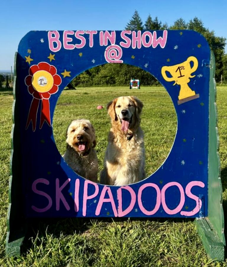 1433 d8480673b4318885e60ef4393562a7ba 1 768x902