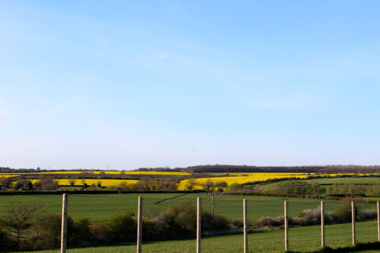 1445 aff4a8b78910a706b2f17062ce7af0d8 1 768x512