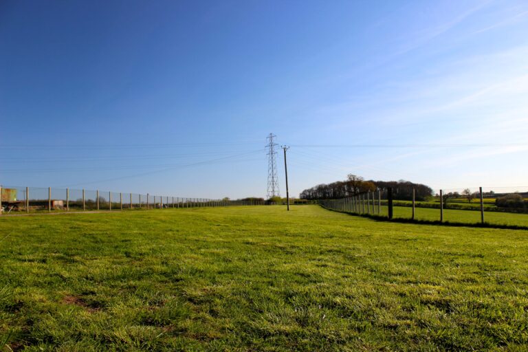 1445 b975f281309bbe31a601a824be0847c4 1 768x512