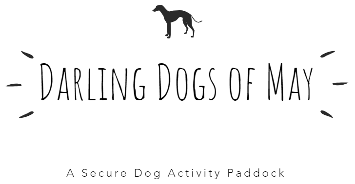 1446 af2542c13fa7c4b460eb86d897ba673b 1