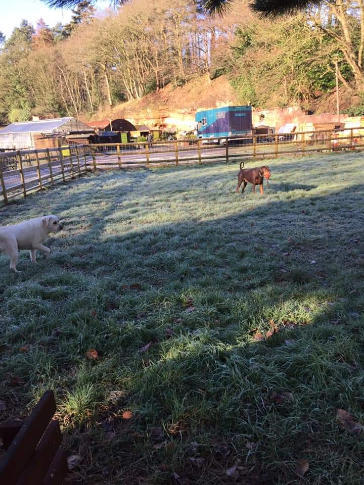 1447 26b3039d01d2e9e7c5cc077902bfb5fb 1