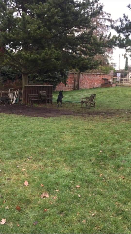 1447 5847528c0e7bb0fc2d3ecb71271ac820 1