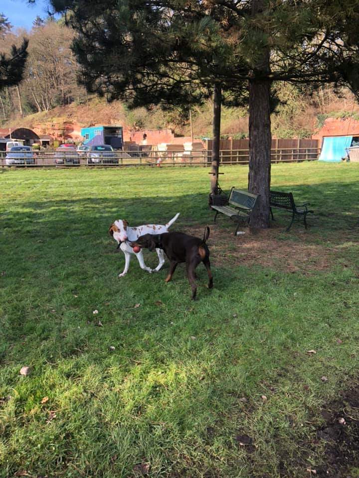 1447 5aa7e0738a0207826025e7230a49d294 1