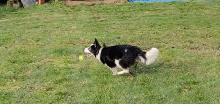 1447 9272880c565865e9a4cdc6922761a60e 1 768x363