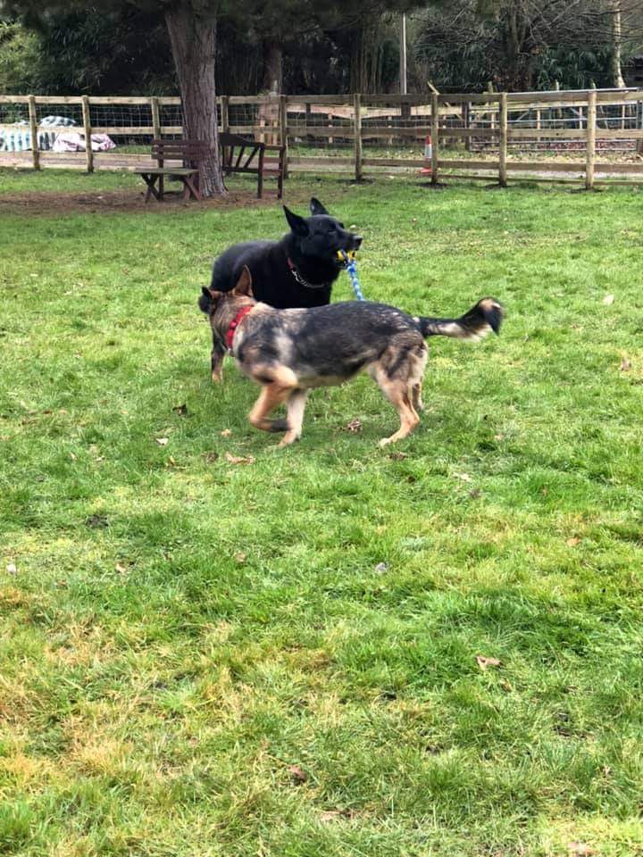 1447 df24c8594b0b7765d627b03f170fcced 1