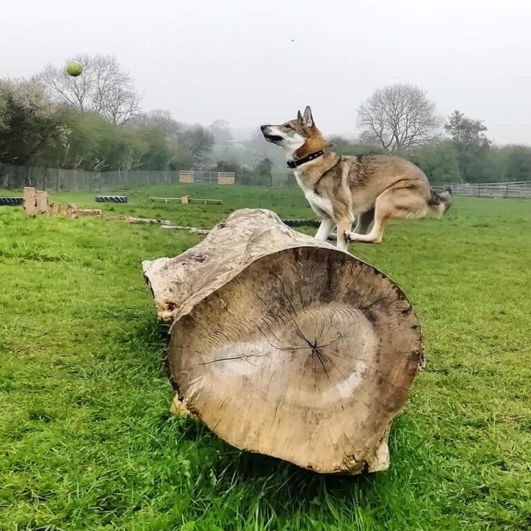 1448 063ea299f2b59003242f307868e0dd5e 1 768x768