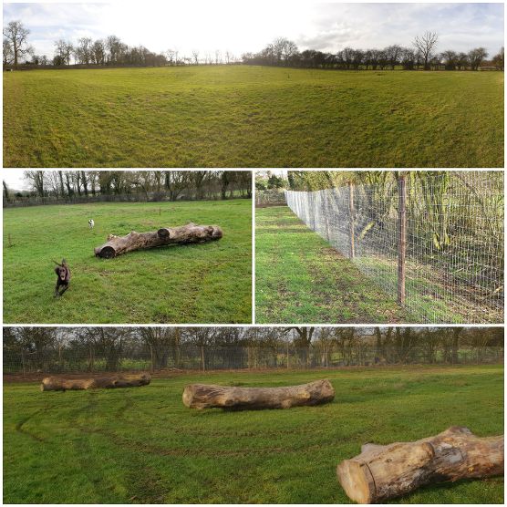 1448 3d1d13a1f95bd181a6dc353e555276b7 1