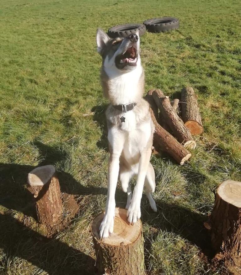 1448 88cbe3ddcfd1ab44b54cdd5ac0bce2d6 1 768x877