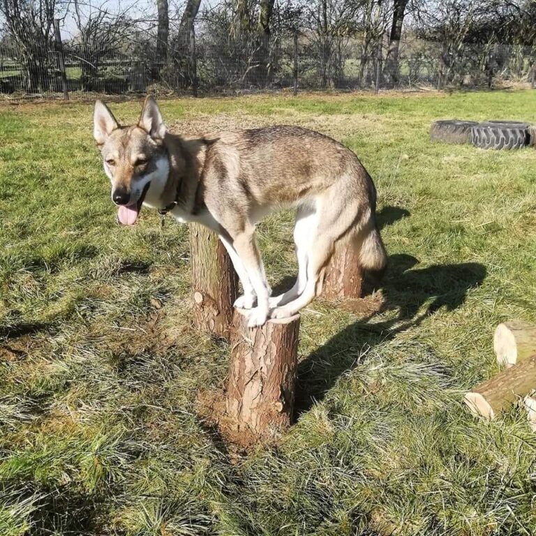 1448 b2394d340e70a824f83bfd48426d8ddc 1 768x768